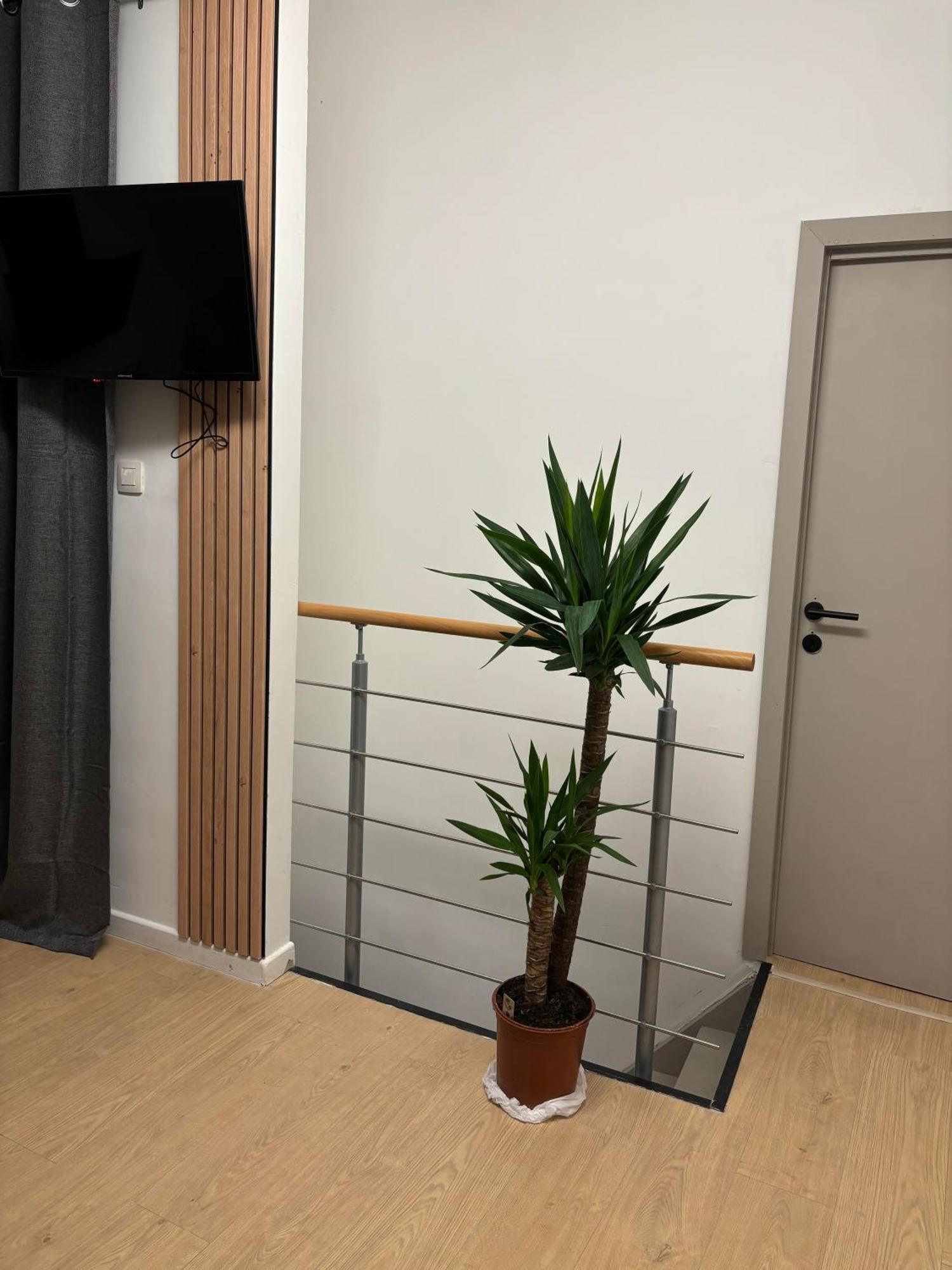 Apartament Ubuntu House - Charleroi Zewnętrze zdjęcie