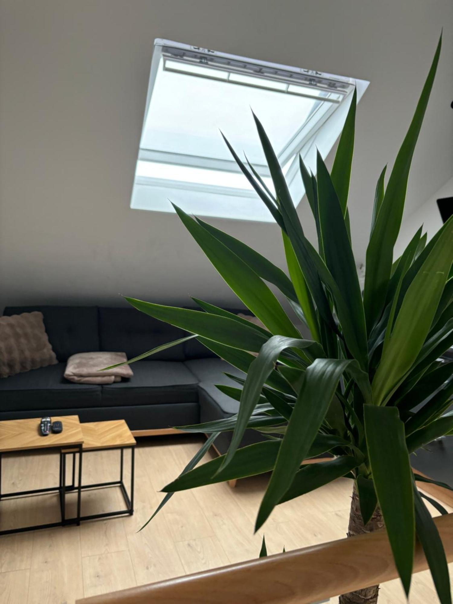 Apartament Ubuntu House - Charleroi Zewnętrze zdjęcie
